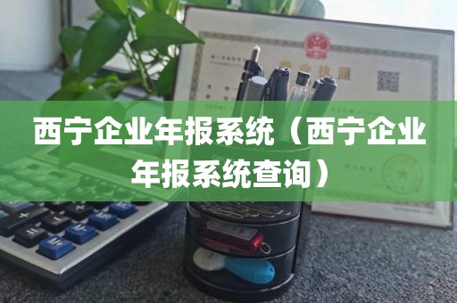西宁企业年报系统（西宁企业年报系统查询）