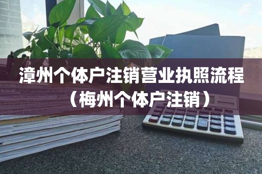 漳州个体户注销营业执照流程(梅州个体户注销)