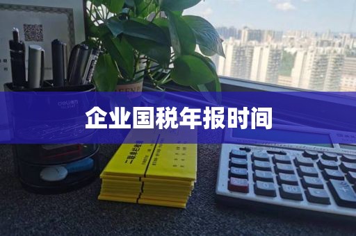 企业国税年报时间