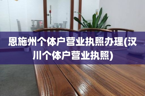 恩施州个体户营业执照办理(汉川个体户营业执照)