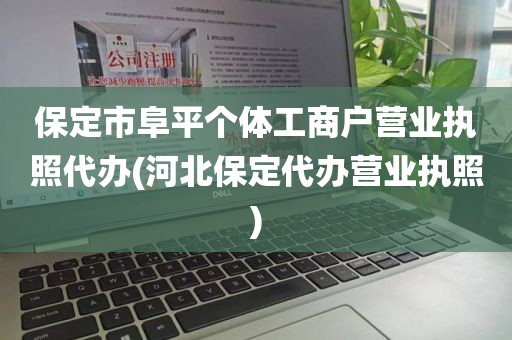 保定市阜平个体工商户营业执照代办(河北保定代办营业执照)