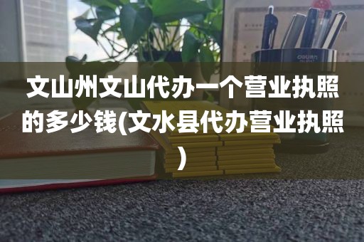 文山州文山代办一个营业执照的多少钱(文水县代办营业执照)