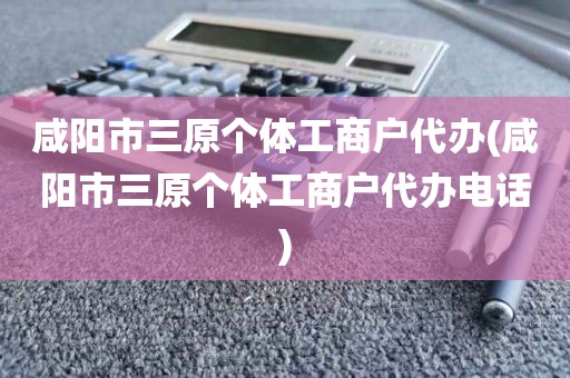 咸阳市三原个体工商户代办(咸阳市三原个体工商户代办电话)