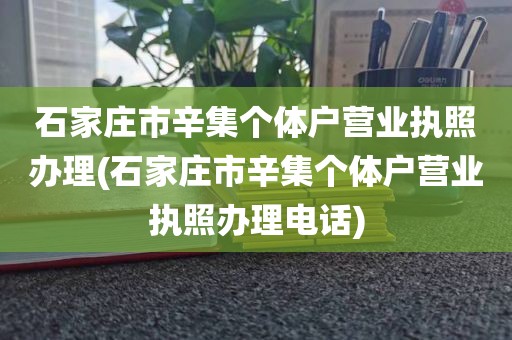 石家庄市辛集个体户营业执照办理(石家庄市辛集个体户营业执照办理电话)