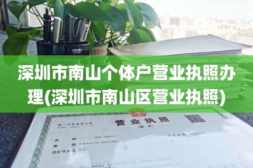 深圳市南山个体户营业执照办理(深圳市南山区营业执照)