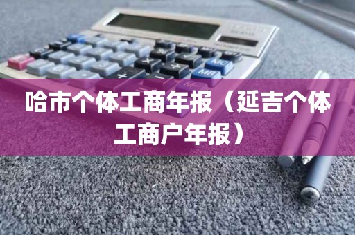 哈市个体工商年报(延吉个体工商户年报)