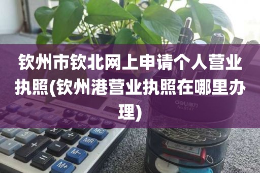 钦州市钦北网上申请个人营业执照(钦州港营业执照在哪里办理)