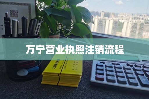 万宁营业执照注销流程
