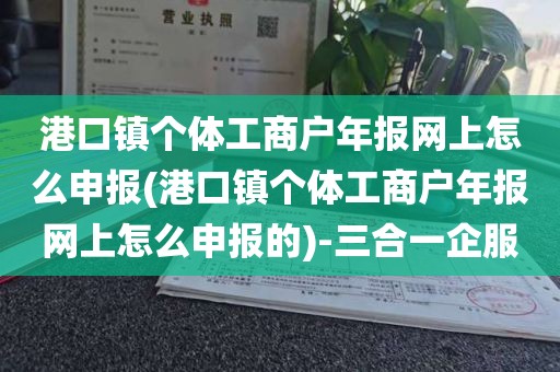港口镇个体工商户年报网上怎么申报(港口镇个体工商户年报网上怎么申报的)-三合一企服