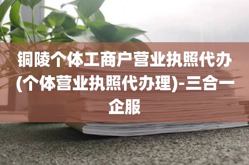 铜陵个体工商户营业执照代办(个体营业执照代办理)-三合一企服