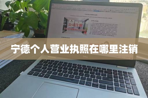 宁德个人营业执照在哪里注销