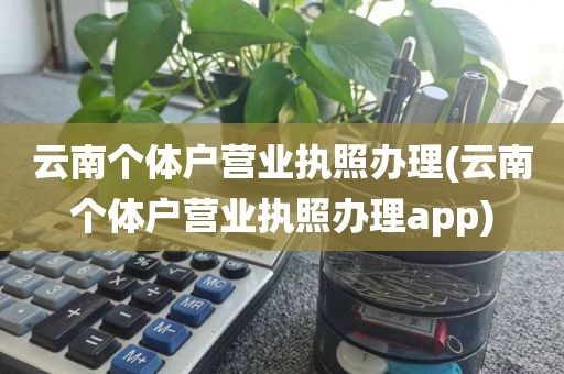云南个体户营业执照办理(云南个体户营业执照办理app)