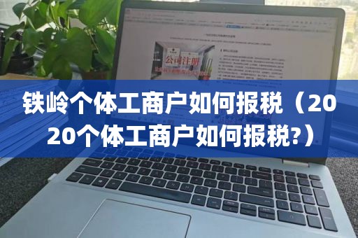 铁岭个体工商户如何报税（2020个体工商户如何报税?）
