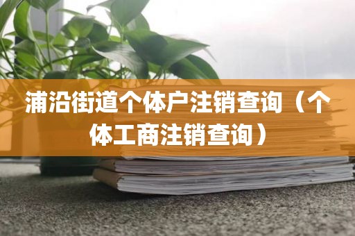 浦沿街道个体户注销查询（个体工商注销查询）