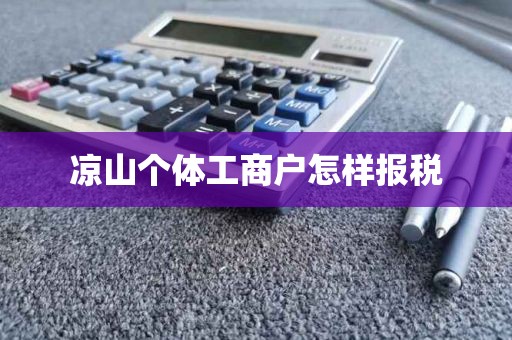 凉山个体工商户怎样报税