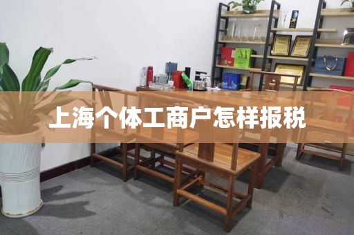 上海个体工商户怎样报税