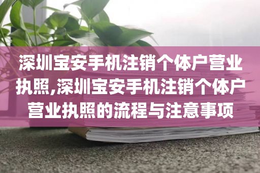 深圳宝安手机注销个体户营业执照,深圳宝安手机注销个体户营业执照的流程与注意事项