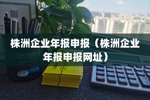 株洲企业年报申报（株洲企业年报申报网址）