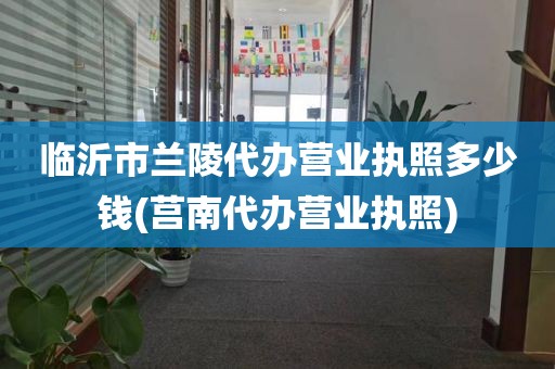 临沂市兰陵代办营业执照多少钱(莒南代办营业执照)