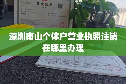 深圳南山个体户营业执照注销在哪里办理