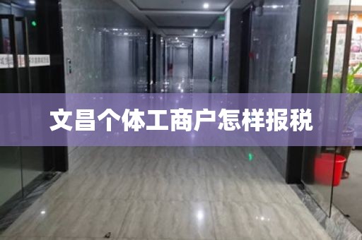 文昌个体工商户怎样报税