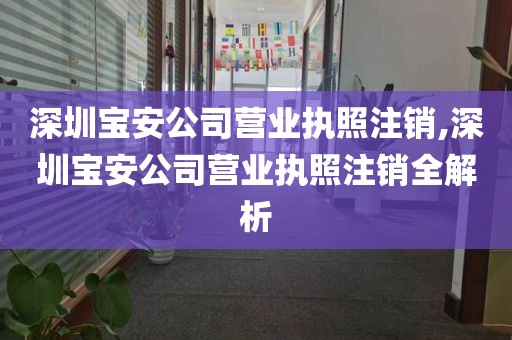深圳宝安公司营业执照注销,深圳宝安公司营业执照注销全解析