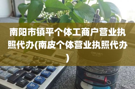 南阳市镇平个体工商户营业执照代办(南皮个体营业执照代办)