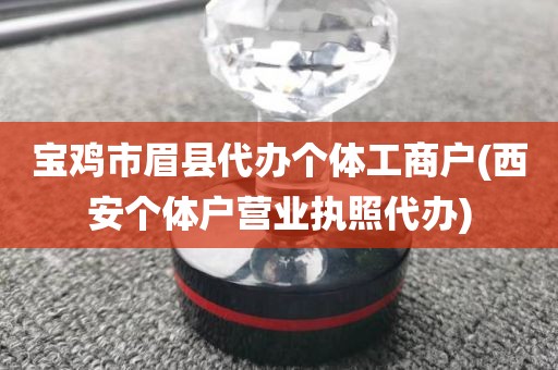 宝鸡市眉县代办个体工商户(西安个体户营业执照代办)