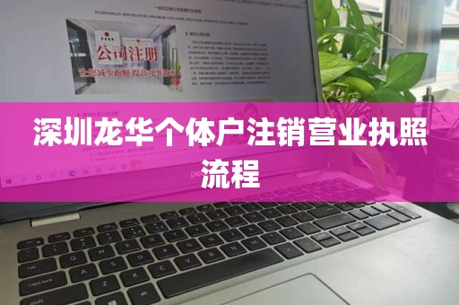 深圳龙华个体户注销营业执照流程