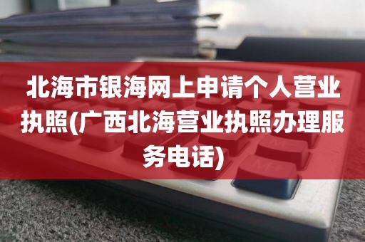 北海市银海网上申请个人营业执照(广西北海营业执照办理服务电话)