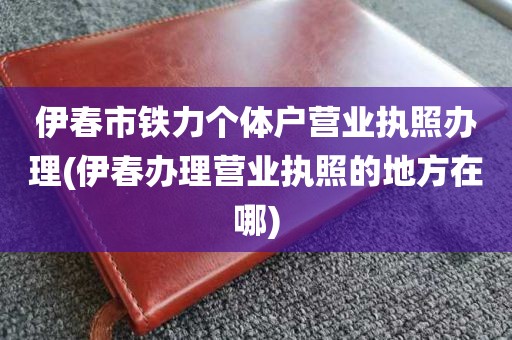 伊春市铁力个体户营业执照办理(伊春办理营业执照的地方在哪)