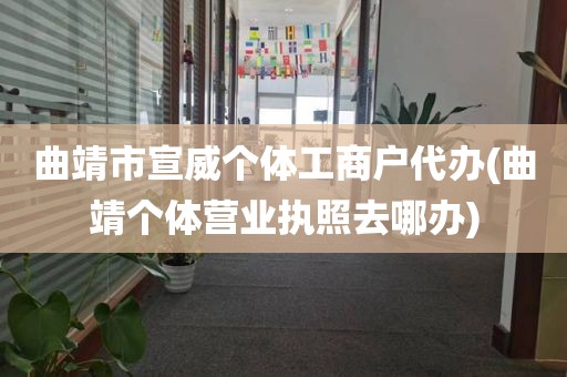 曲靖市宣威个体工商户代办(曲靖个体营业执照去哪办)