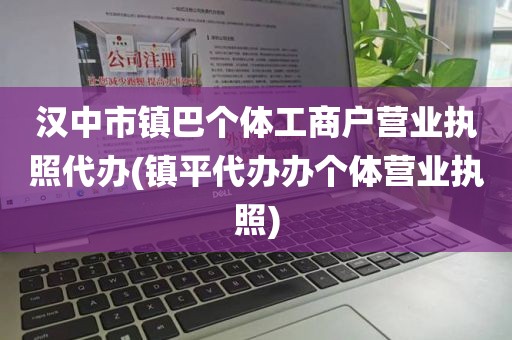 汉中市镇巴个体工商户营业执照代办(镇平代办办个体营业执照)
