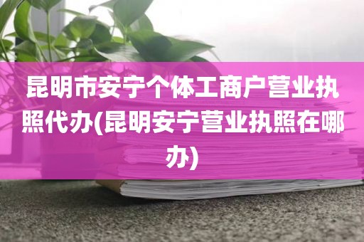 昆明市安宁个体工商户营业执照代办(昆明安宁营业执照在哪办)