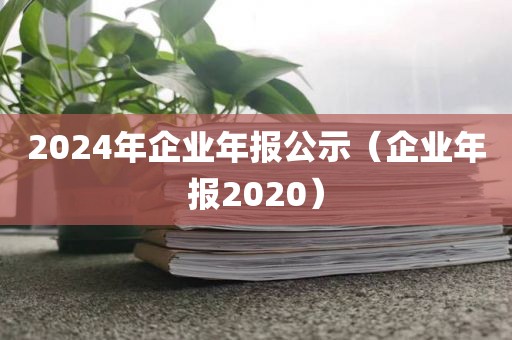 2024年企业年报公示（企业年报2020）
