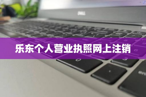 乐东个人营业执照网上注销