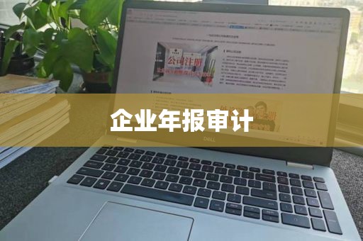 企业年报审计