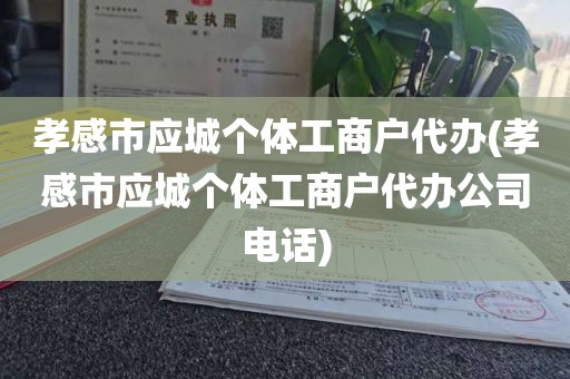 孝感市应城个体工商户代办(孝感市应城个体工商户代办公司电话)