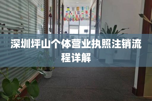 深圳坪山个体营业执照注销流程详解