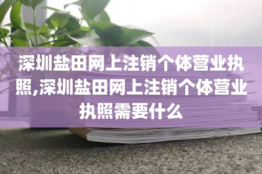 深圳盐田网上注销个体营业执照,深圳盐田网上注销个体营业执照需要什么