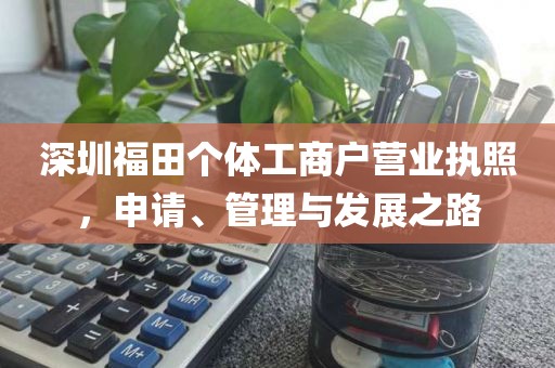 深圳福田个体工商户营业执照，申请、管理与发展之路