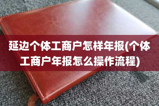 延边个体工商户怎样年报(个体工商户年报怎么操作流程)