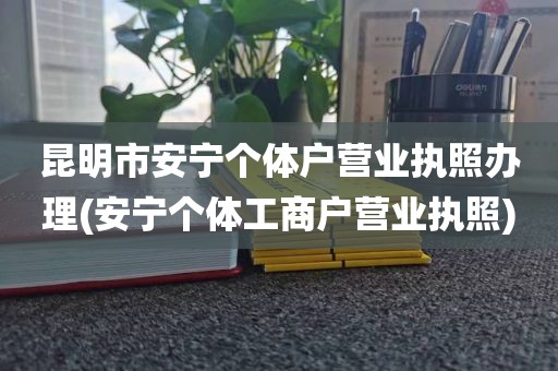 昆明市安宁个体户营业执照办理(安宁个体工商户营业执照)