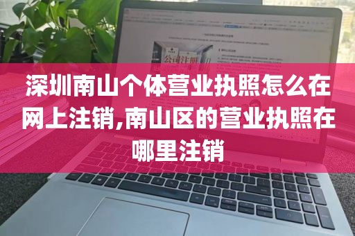 深圳南山个体营业执照怎么在网上注销,南山区的营业执照在哪里注销