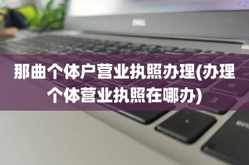 那曲个体户营业执照办理(办理个体营业执照在哪办)