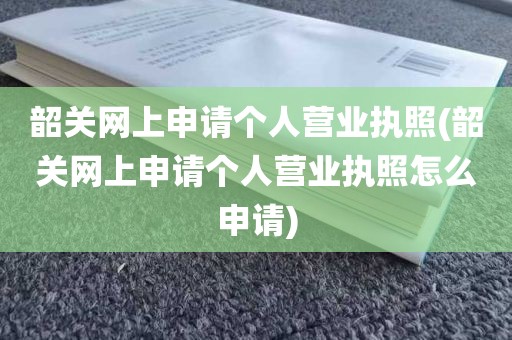 韶关网上申请个人营业执照(韶关网上申请个人营业执照怎么申请)