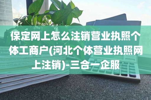 保定网上怎么注销营业执照个体工商户(河北个体营业执照网上注销)-三合一企服