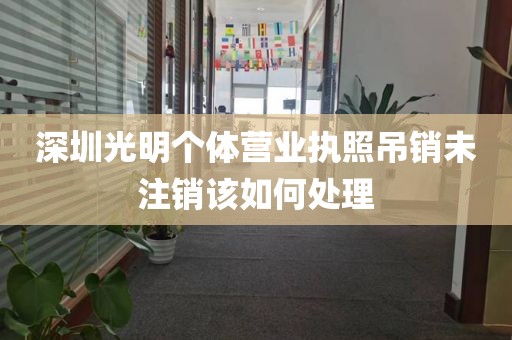 深圳光明个体营业执照吊销未注销该如何处理