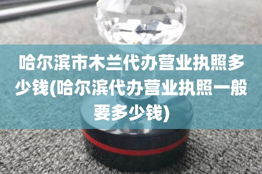 哈尔滨市木兰代办营业执照多少钱(哈尔滨代办营业执照一般要多少钱)