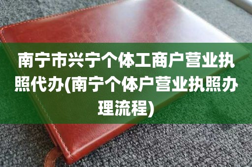 南宁市兴宁个体工商户营业执照代办(南宁个体户营业执照办理流程)